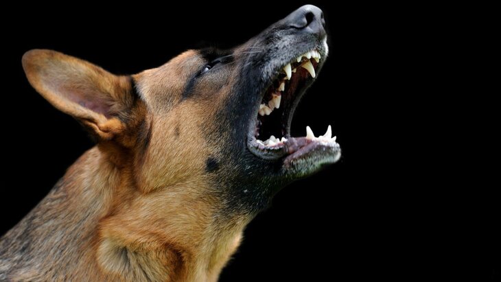 � �� ���������� ������ �� ��� ���� ���������� �����, �� ��������� ������� ������� ����