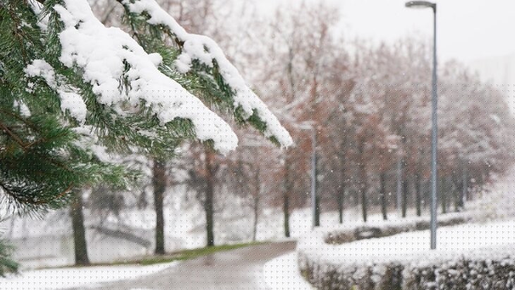 ������� ������ �������� � ������� �� ��������� ������