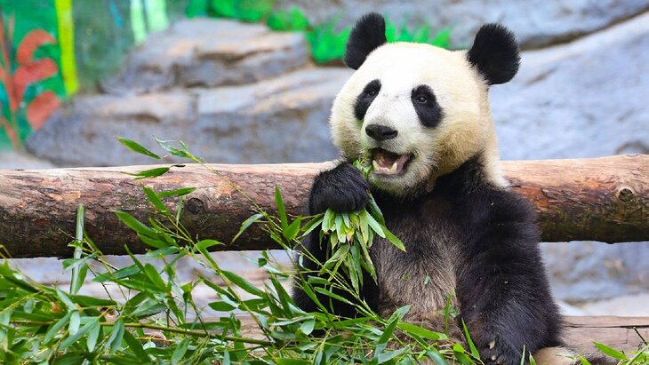 ������������ �������� �������� � ������������ �� ����������� �������� 7 ��� ���