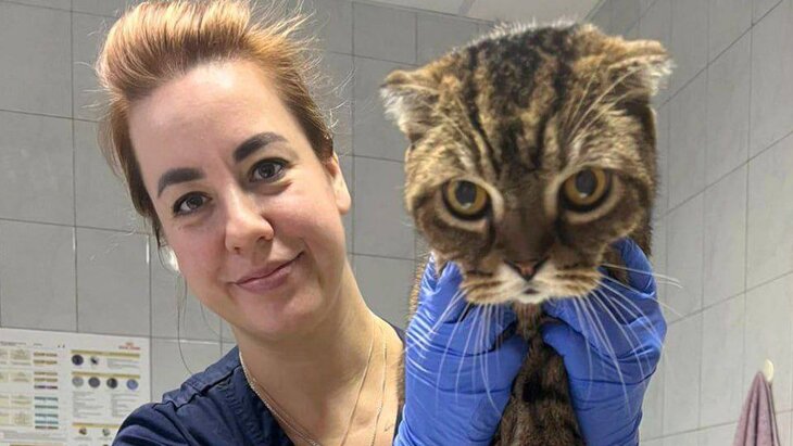 ��������� ���������� �������� 17-������� ���� �������� �� ������ ������� ����