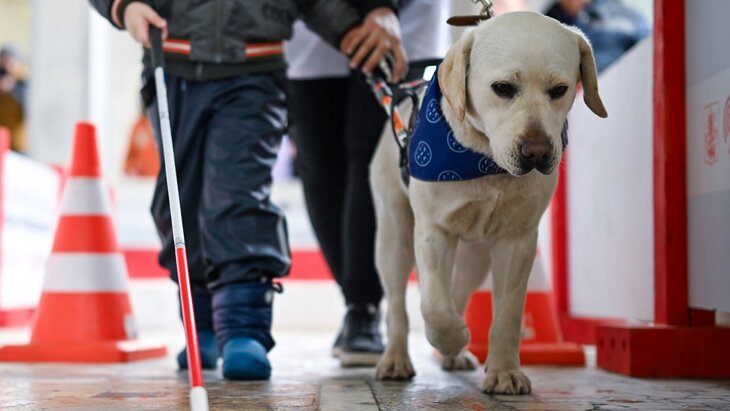 40 �����-����������� ������ �������� � ����� ������ � 2025 ����