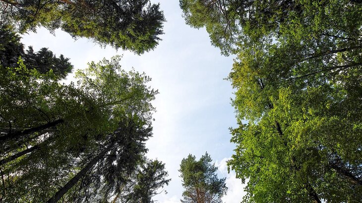 ��� ������� ���������� ������ �������� ������� ������� �������� �������� �����