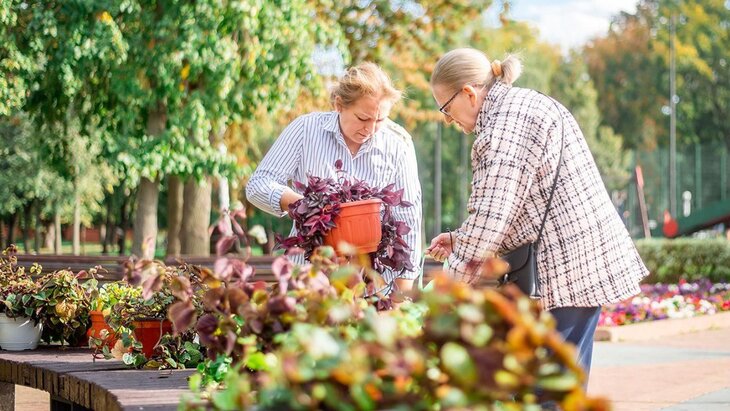 ������ ��������� ����� ����� ������ ����� � ����������� � ������� ����� ������