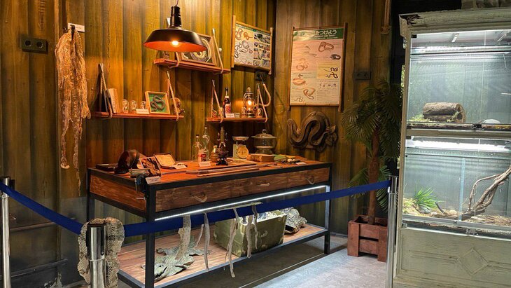 "������ ��������" �������� ������� � ���������� ��������