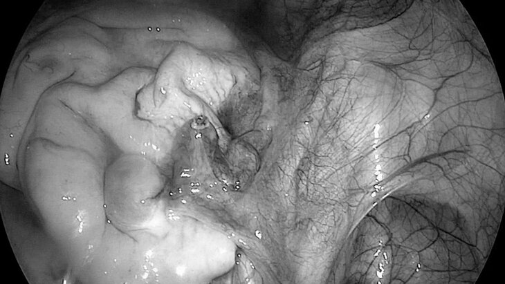 ������������ ������� ������� ������� �������� �����, ��������� ������������