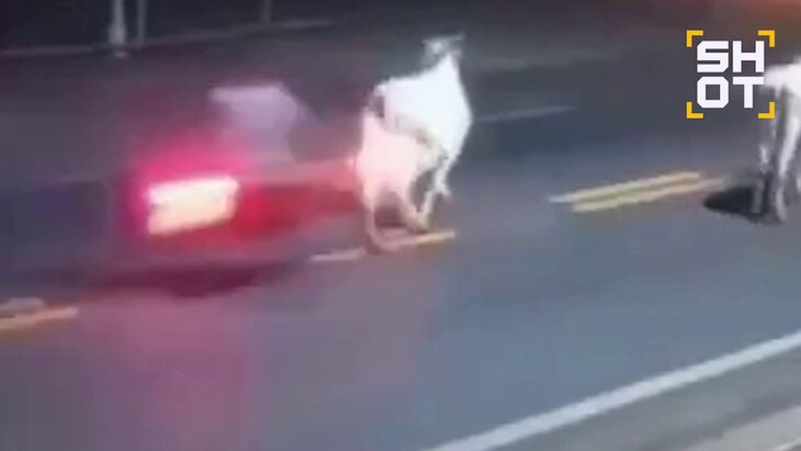 ����������� ��������� �����, ���������� � ������ �� ���������