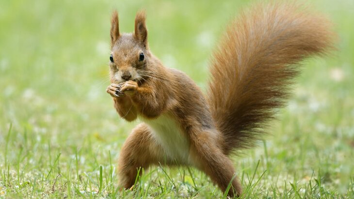 � ���������� ����������� ����� ������ �� ������� ��������