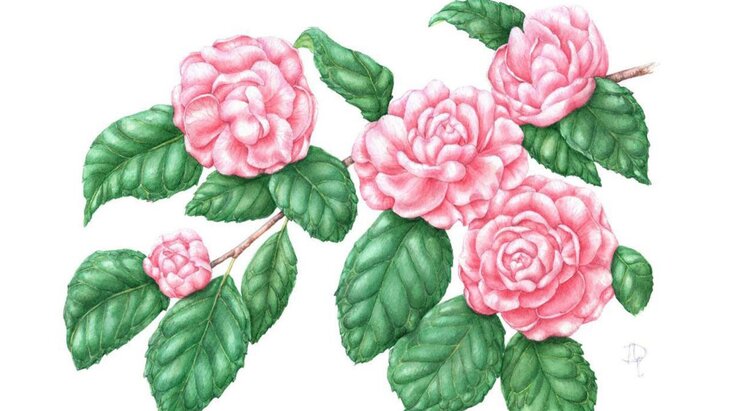 �������� ��������� �������� ��������� � "����������� �������" 24 ������