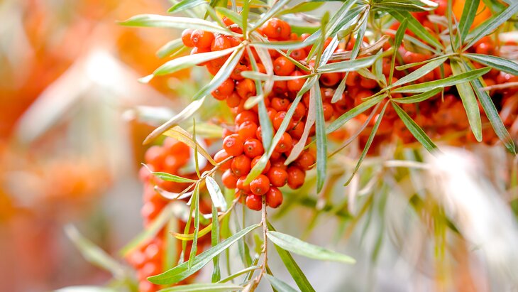 �������� ������������ �� ������� ��������� �������� ��� �������