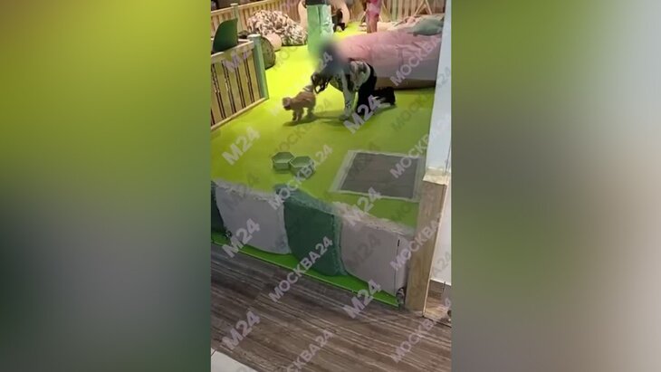 ����������� �������� ������� � "������� �����������" � ���������� ��