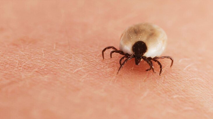 ���� ��������, ��� ���������� �� ������