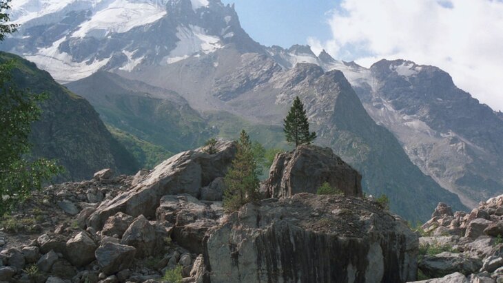 ��� ���������� �� ����� ������� ��� ����������� � ����� ���������-��������