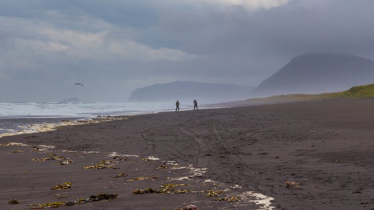 ������������� ���������� 7,8 ��������� � ������ ��������