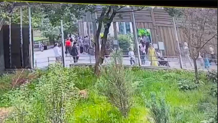 ����������� ������� �������� ������ � ���������� ��������