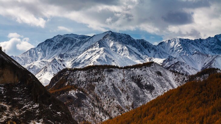 ����� ���������� ���������� ������ � ���������� ����� ����� �������������