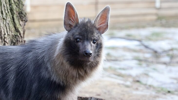 ���������� ������� ������ �������� �� ��� ������ � 1 �����