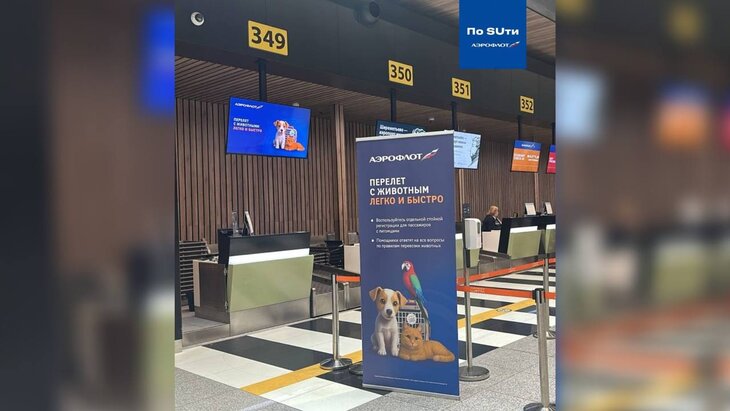 ������ ��� ����������� ���������� � ��������� ��������� � ��������� �����������