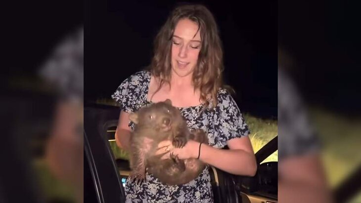 ��������� ����� ������������ ���� ������� ��� ����� �� ������ �������