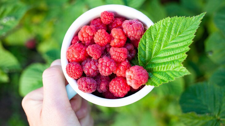 ������� ���������� ������� ������ ��� ����� ������