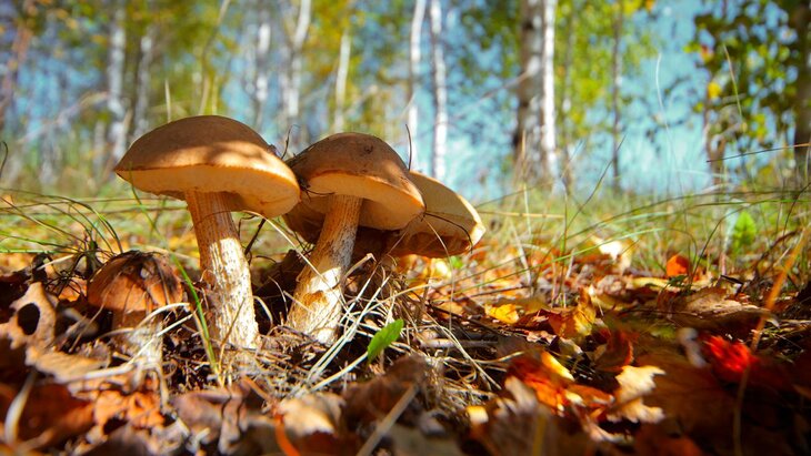 ������� ��� ������� � ����� ���������� �������