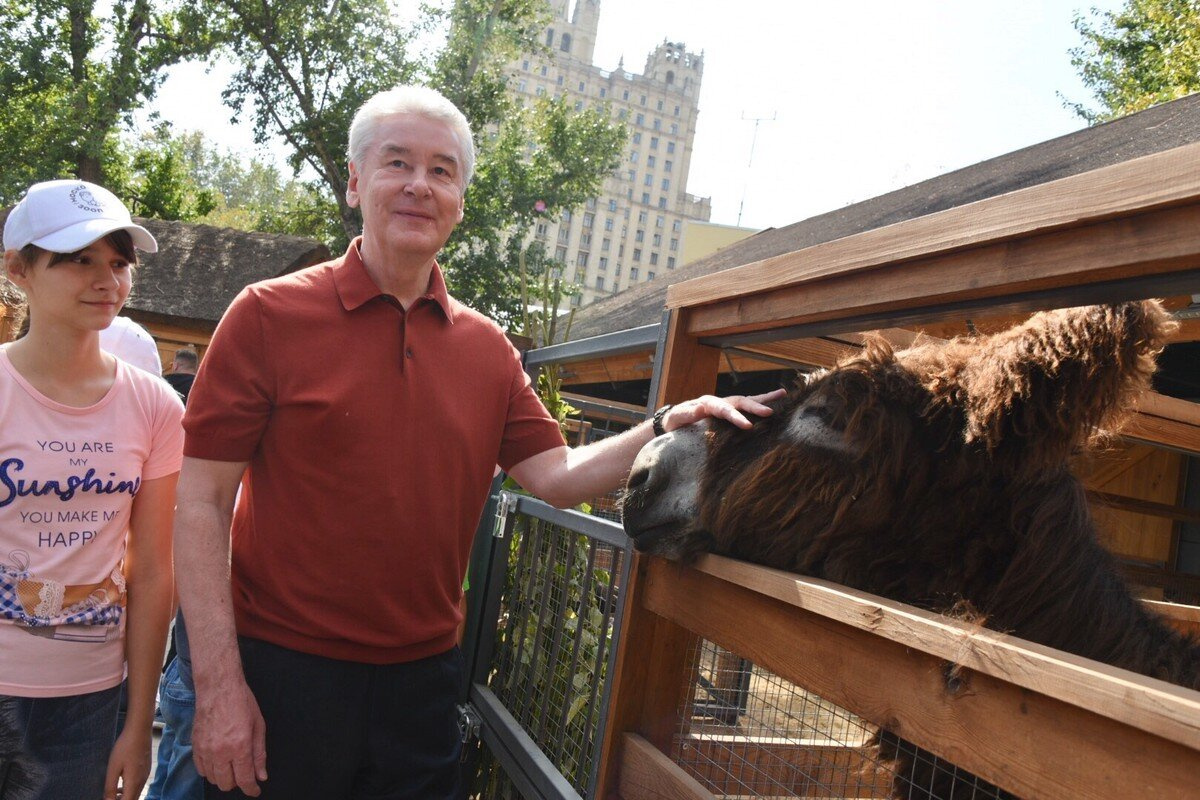 �������: ���������� ������� ����� ������ ������� ������ ��� ������ ��������