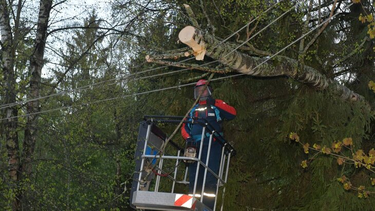 � ������������ ����� ��� ������������� �������� 25 ���������� �������