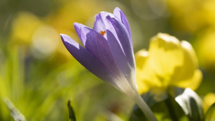 ���� ������ ����� ������� �������� � ������