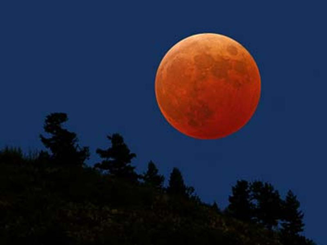 ������� ������ 29 ������� ��� ����������