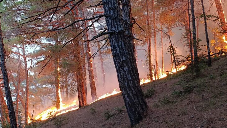 ������� ������� ������ � ���������� ����������� �� 41,5 �������