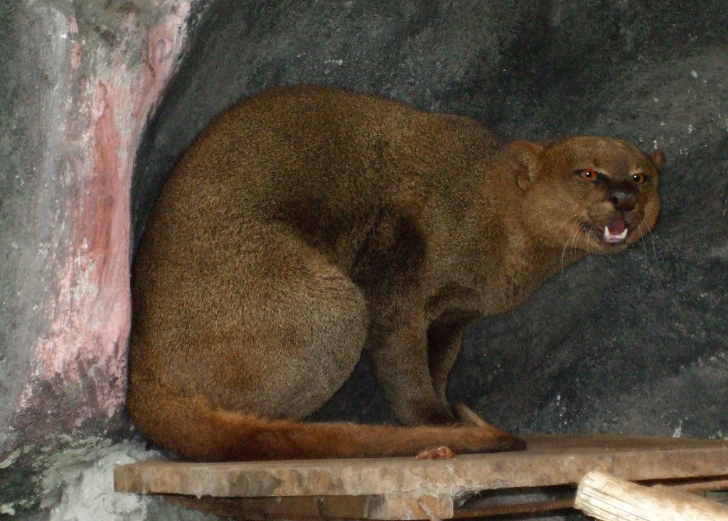 ����� ��������� ������ ������� � ���������� �������� ����������� ����� ���������