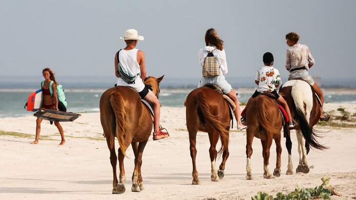 ����� 5 ��������� �������� �������� ���� � ������ ����