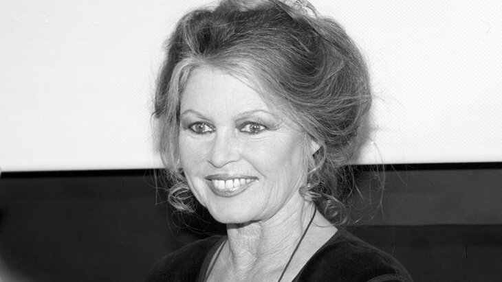 �������� ������� ������ ����� ������� 7 ������