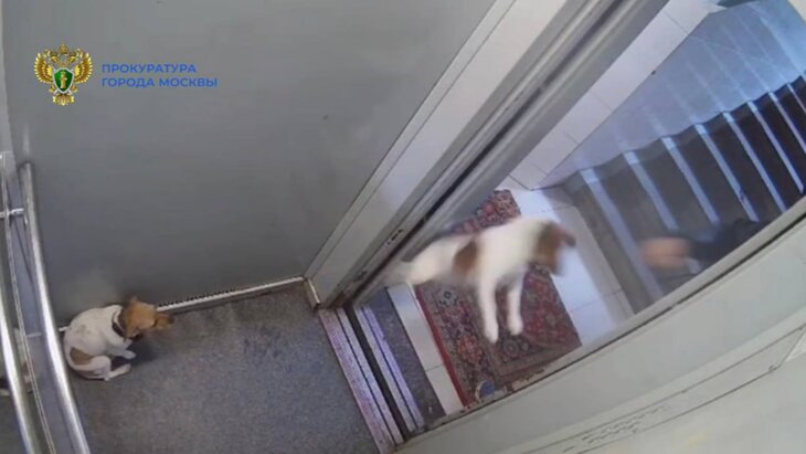 ������� ��������� ���������� �� �������� ������ �� ���-������� ������