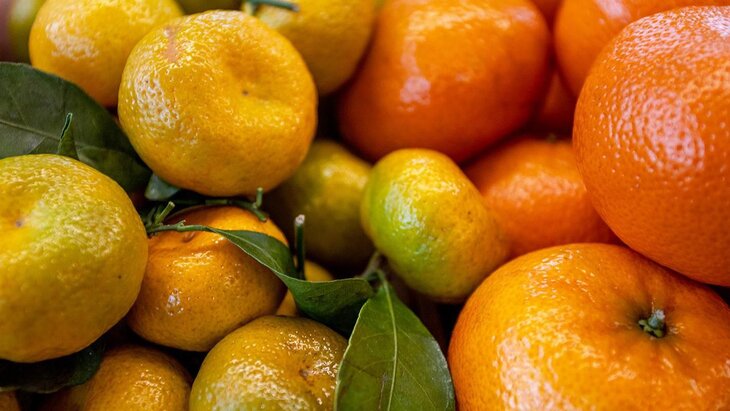 ����������� ������� ������������ �������� ����� ����������