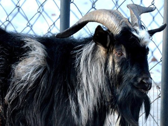 � ������ ���� ����� ��������� � ������� �� ����������