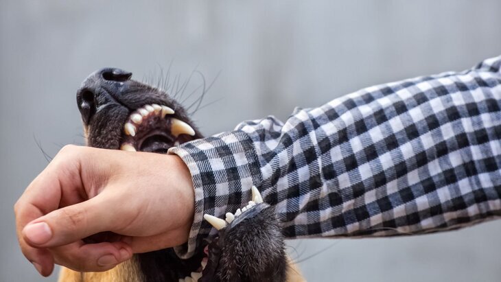 ������������ �� ��������� ����� � �����������-��-����� �������� � ���������