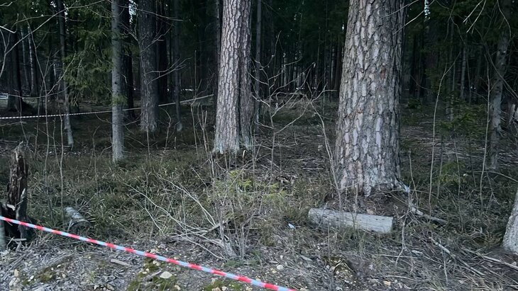 ��� �������, ��� �� ����������� � ����������� ������ ��� ���������� �������������