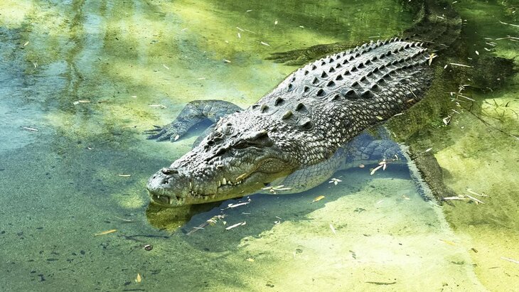 � ��������� �������� �� ������ � ����� ������ � ��������� ������� � ���