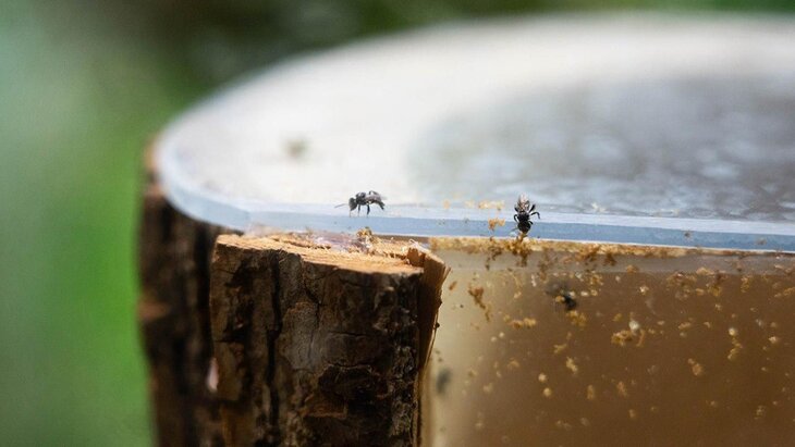 ��������� �������� ����� ���������� � ���������� ��������