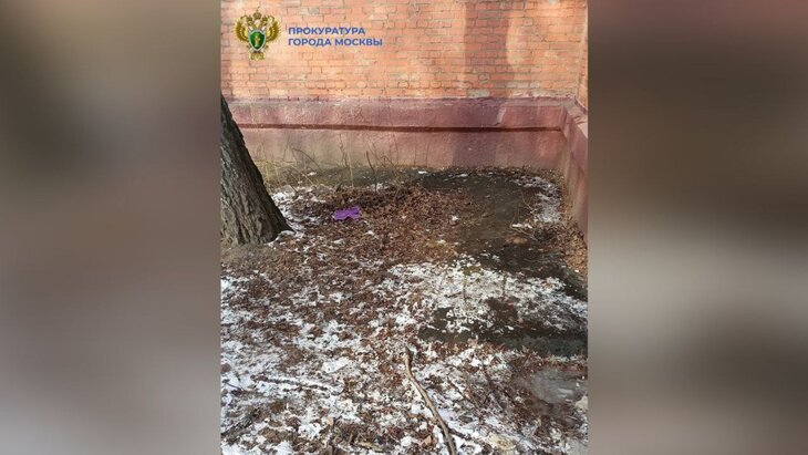 ������� ����� �� ���� ���������� ����� ������ ���� �� ������-������ ������