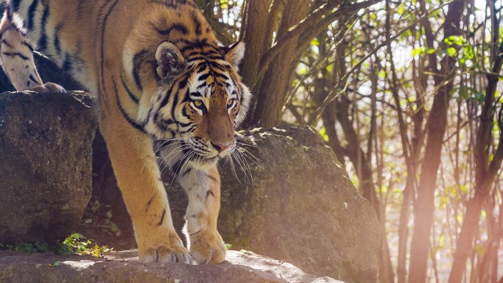 ����� ������ �� ����� � ������-����� ����� � ���������� ������� � ���