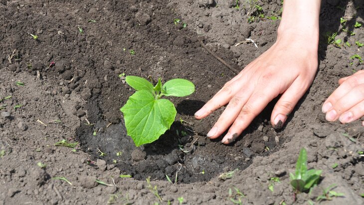 ������� ��������, ��� ��������� ����������� ������� � �������