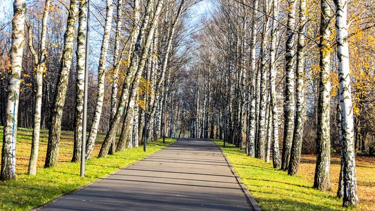 ��������� ���� ��������� ������ ��������