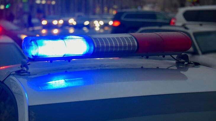 �������� �������� ���� ������� �� ���������� �������� � ������