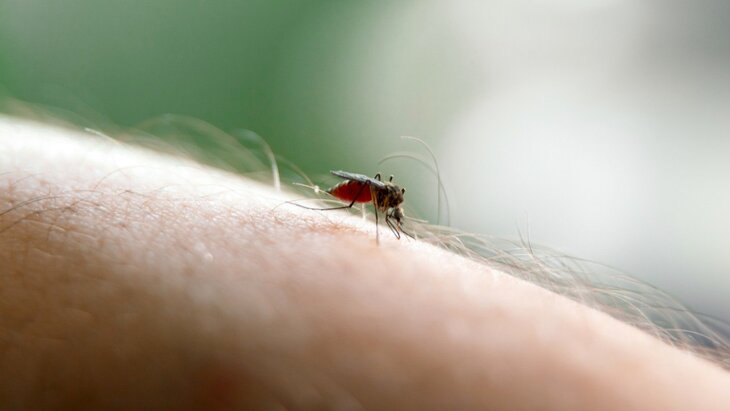 ������� ����������, � ������ ������� ��� �������� ����� ����������� ��-�� ����� �����