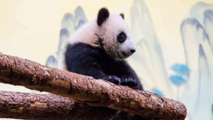 �������: � 8 ����� ����� ������ ������ ������� ����� ��������