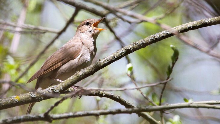 ���������� ��������, ������ � ������� ��������� � ������