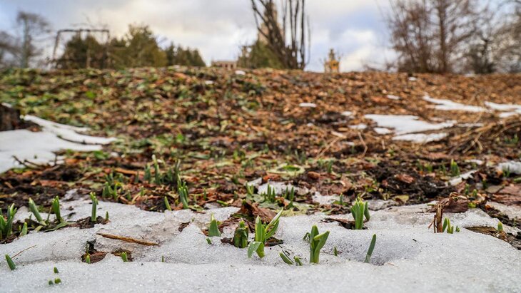 ��������� ������� ��������� �������� ��������