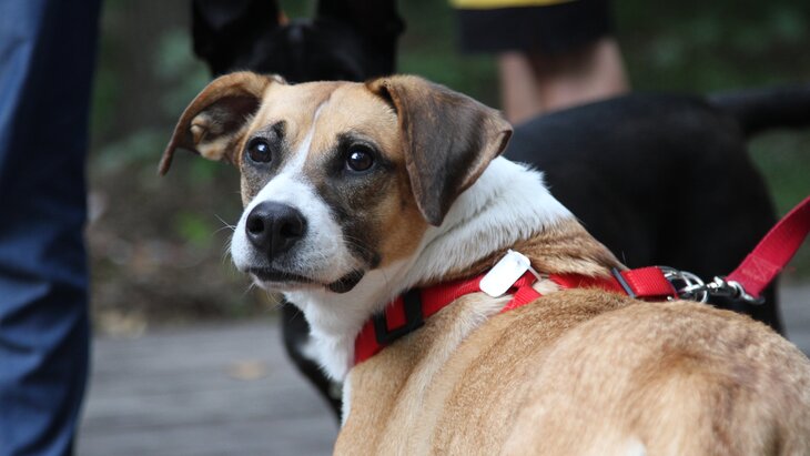 ������������ "�����" ������� � ����� "��������� ����" 24 � 25 ���