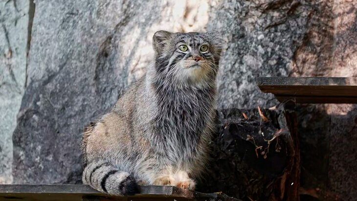 ����� ������� �� ����������� �������� ����� ��������� � ����